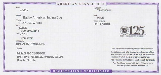 can you register a pitbull with akc