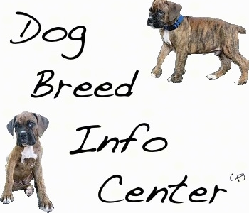 (c) Dogbreedinfo.com