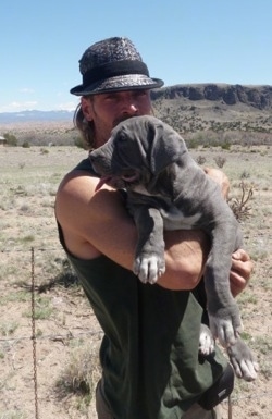A grey with white Lakota Mastino puppy is being held up in the arms of a man in a gray and black hat who is standing in a desert. The dog's mouth is open and its tongue is out.