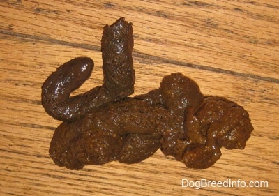 A pile of poop on a hardwood floor.