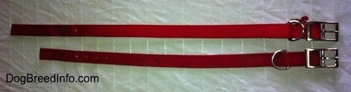 Close up - Two red dog collars are laying adjacent to each other. One is smaller than the other.