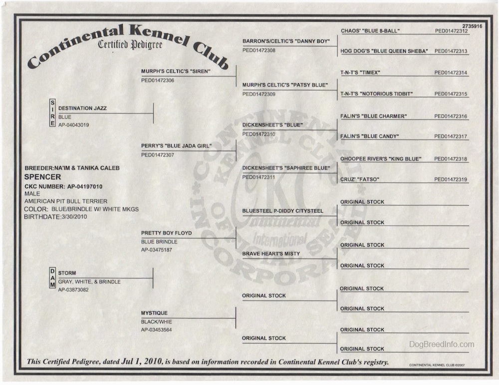 ckc continental kennel club