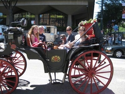 Four Ladies a dog and a puppy are sitting in a horse carriage on a city street.