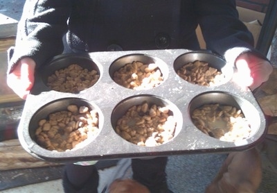 A large muffin tin with each individual pocket filled with kibble.