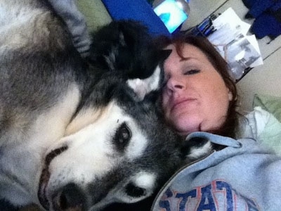 Roo the Coydog is laying on top of a lady who is taking a selfie