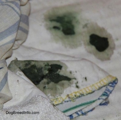 Green discharge on a towel