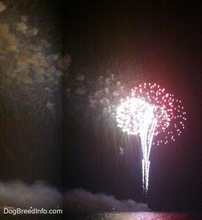 Fireworks in the sky over the water