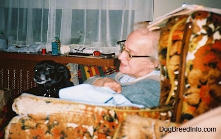 A lady is sitting in an arm chair and in her chair is a black dog sitting in her lap.