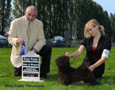 A corded Havanese is being posed by a blonde haired lady out in the grass at a dog show. There is a man in front of them holding a ribbon.