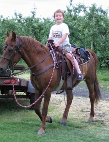 Front side view - A boy wearing sandals is sitting on the back of a Horse and it is walking across a field. The boy is looking forward.