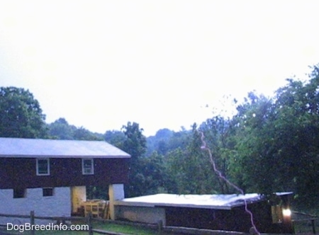 lightning striking in a yard in front of a red barn and a red chicken coop