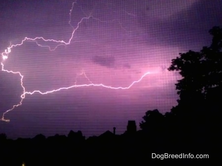 lightning going through a pink sky