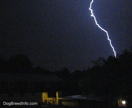 lightning striking trees