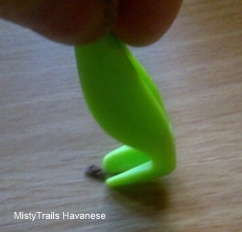 A green tick remover tool being placed next to a tick which is on a wooden table