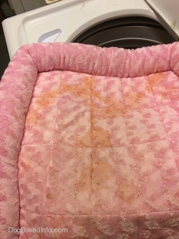 A pee stained pink crate liner.