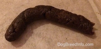Close up - dog poop on a tiled floor.