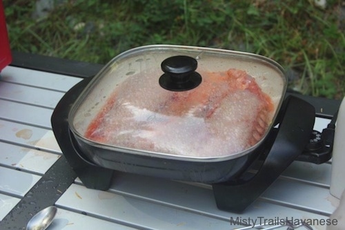 Octopus tentacles are cooking in a covered pan.