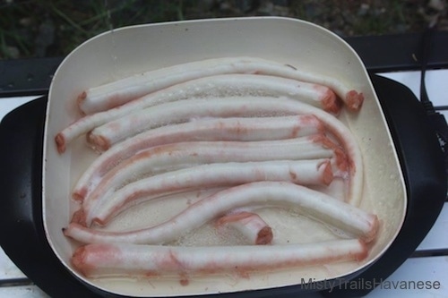 Close up - A bowl of Octopus tentacles