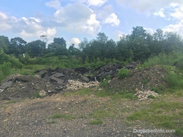 Bulldozed piles of Asphalt