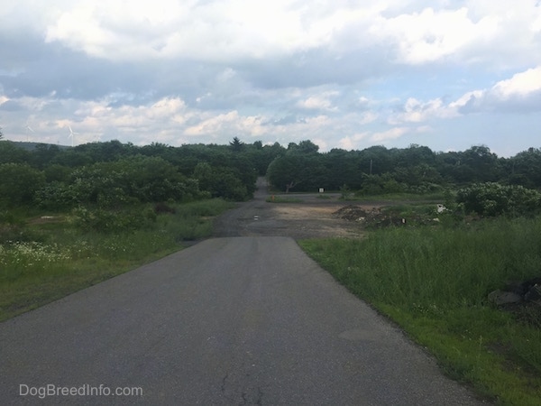 Asphalt that turns into dirt because of Underground Fires