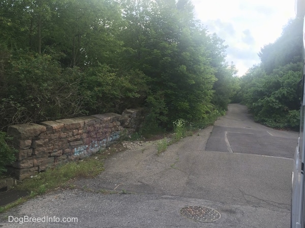 A Stone wall with graffiti on it