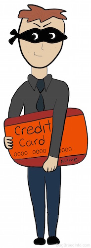 A drawn image of a burgular in a black mask with a large credit card in his hand