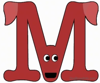 A drawn picture of a dog that is also the letter M