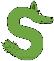 A drawn picture of a dog that is also the letter S