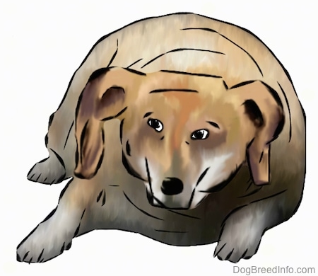 A drawn picture of a very fat Hawaiian Poi Dog laying down
