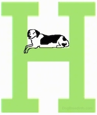 A drawn dog is laying in the middle of the capital letter H.