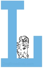 A drawn dog is sitting at the base of the capital letter L