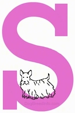 s dog breeds