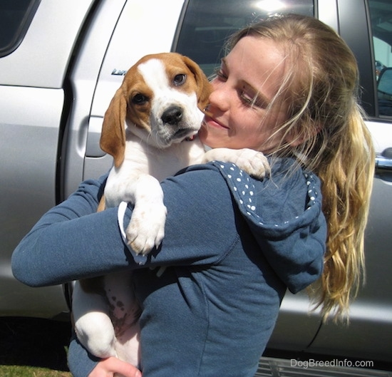 A blonde haired girl holding a little hound looking puppy in her arms with her face close to the pups head as she smiles at him.