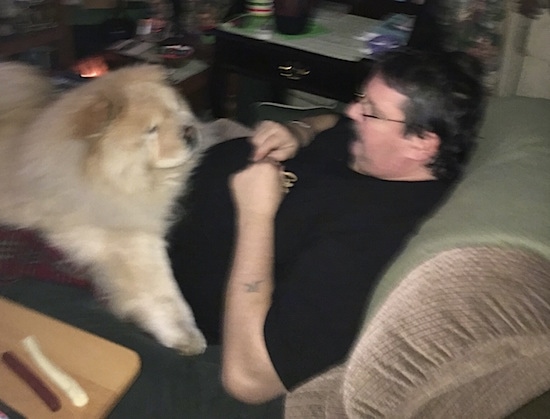Mocha Jo the Chow Chow is laying on the legs of a man in glasses in a recliner. Her paws are spread to the sides and they are face to face.