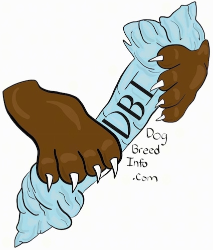 A cartoon graphic of dog paws holding a DBI DogBreedInfo.com bone