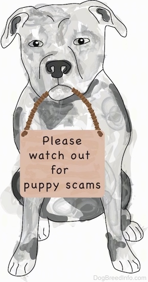 A cute pit bull dog sitting down holding a sign in its mouth that says 'please watch out for puppy scams'