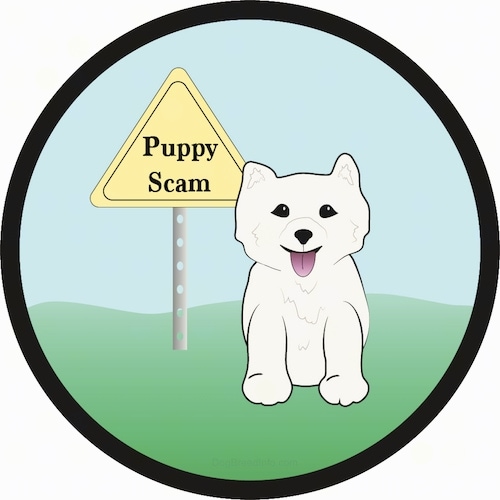 A drawling of a fluffy little white puppy sitting in grass next to a triangular yellow sign that says 'Puppy Scam'. The puppy has is pink tongue hanging out, small perk ears a black nose and black eyes.