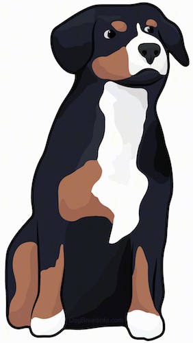 Front view drawing of a tricolor black, tan and white dog with ears that hang down to the sides sitting down.