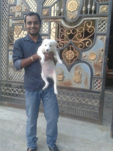 A man standing outside in front of a fancy medal gate door holding a small white puppy belly out.