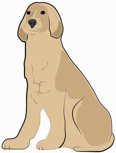 Featured image of post Dog Sitting Down Side View Drawing Since we don t collect that information search ads on duckduckgo are based on the search