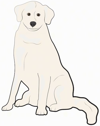 A drawing of a large tan dog with drop ears that hang down to the sides, dark eyes nad a black nose sitting down.
