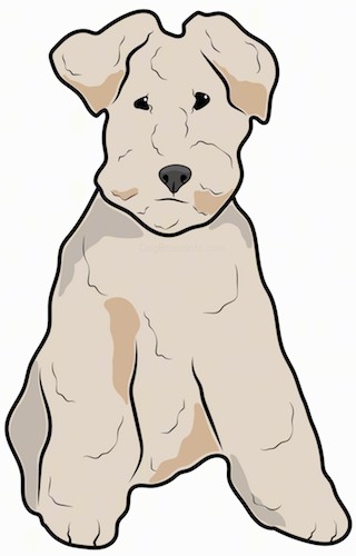 A drawing of a terrier type, low to the ground dog with a thick coat, small v-shaped ears that hang down to the sides and small dark eyes sitting down.