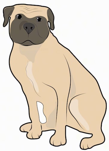 A drawing of a tan, large breed, muscular, wide dog with a big head with a dark brown muzzle sitting down.