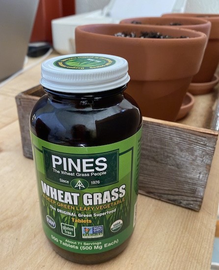 A brown jar of wheat grass pills with terracotta pots behind it