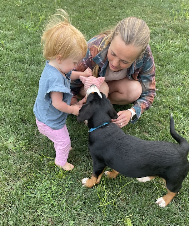 Toddler and woman looking at Briar, the greater swiss mountain dog puppy