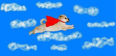 Photoshop of a flying puppy wearing a red cape. A dog is laid out. A Cape is drawn on. The background is a blue sky and white clouds