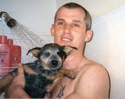 An Australian Cattle puppy is being held by a man who is taking a shower.