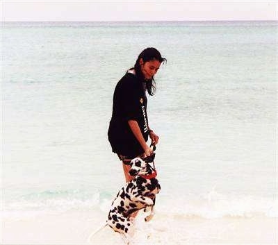 A Dalmatian dog is on a leash jumping up in the water at a beach with a brown haired lady next to it