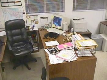A little Rottweiler puppy is sleeping on a cluttered desk in an office