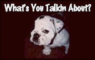 A black and white Bulldog puppy is sitting looking up with his head turned to the side. The Words - What's You Talkin About? - are overlayed